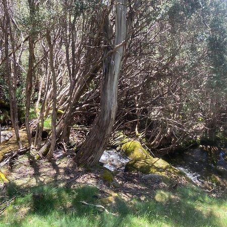 Ramshead Creek 3 - Thredbo 아파트 외부 사진