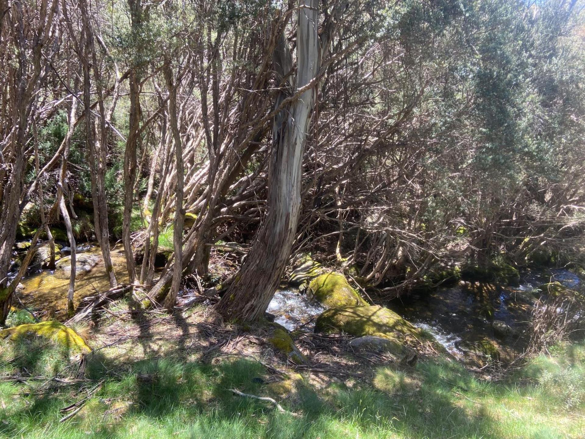 Ramshead Creek 3 - Thredbo 아파트 외부 사진