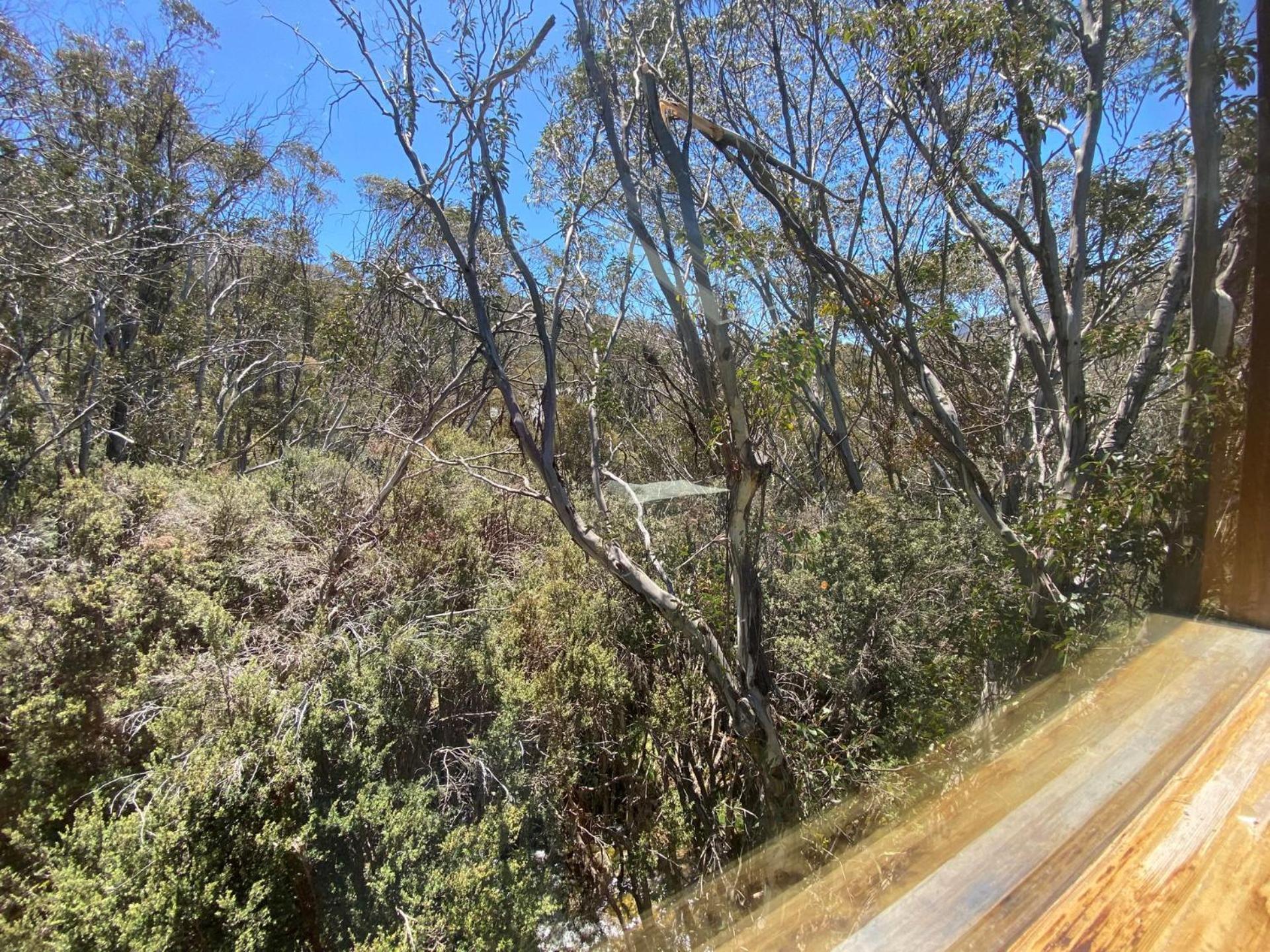 Ramshead Creek 3 - Thredbo 아파트 외부 사진